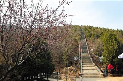 28日迎扫墓高峰 8时至11时最堵