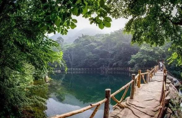 自驾俩小时 北京不远有一片“热带雨林”