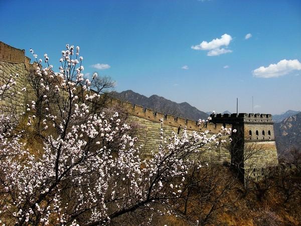 北京郊区游玩踏青攻略,北京郊区游玩一日游自驾