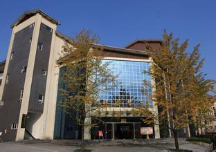 川农大两男生虐猫引众怒 校方:严肃处理