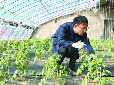 北京一大学生毕业后回乡种地_大燕网北京站_腾讯网