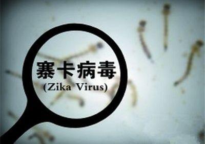美国科学家尝试用寨卡病毒治疗脑癌