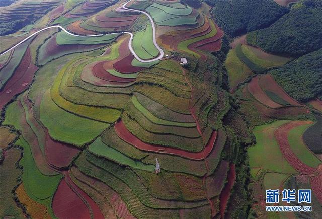 东川红土地景色(8月29日无人机拍摄 新华社记者杨宗友摄