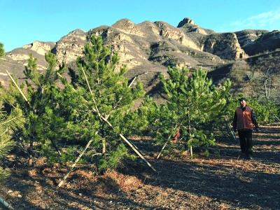 中国人均住宅_中国农民人均土地(2)