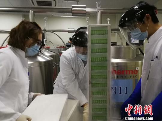 同济大学研究团队实现全球首例人类肺脏再生