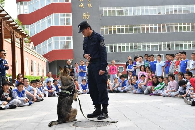 做自己的首席安全官节前安全教育进西城附小