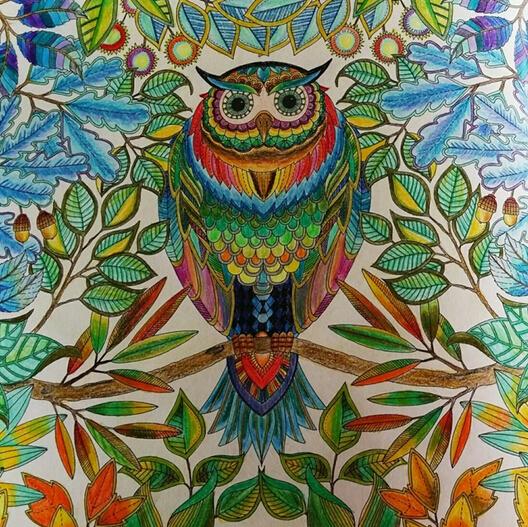 涂《秘密花园》时我们图的是什么?