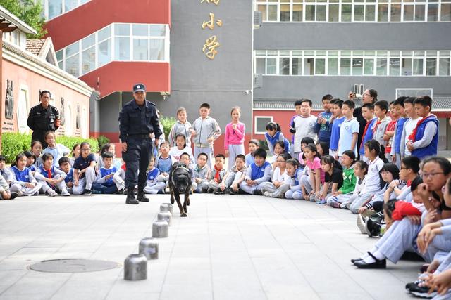 做自己的首席安全官节前安全教育进西城附小