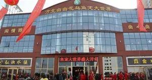 终于找全了!石家庄史上最全的年货批发市场攻略,便宜的一塌糊涂!