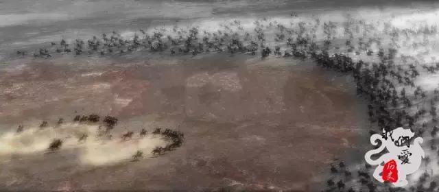 一个低级错误 令明朝军队几乎全军覆没