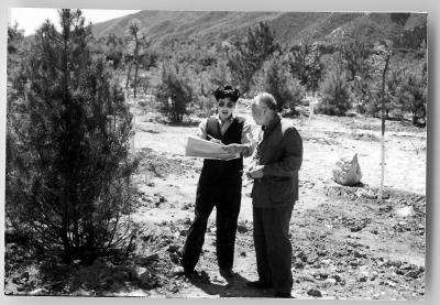 ��ʮ��ѻ�ǧĶ ��Ѯ��ֲ������