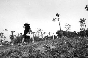 2.8万㎡绿地亮相广渠路朝阳段 双桥路年底前通