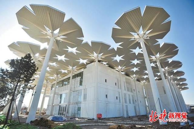 北京世园会国际馆今天亮相 94把参天花伞迎