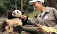 Wang Feifei: tiếp xúc gần gũi với con trai ông Panda