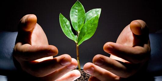 信易云媒APP定制研发 助大学生成功创业