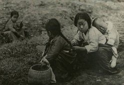 美杂志上的朝鲜1880年代
