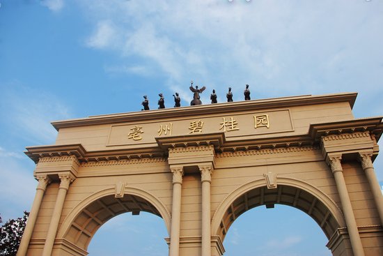 为何我的眼里常含泪水 只因没买房后悔