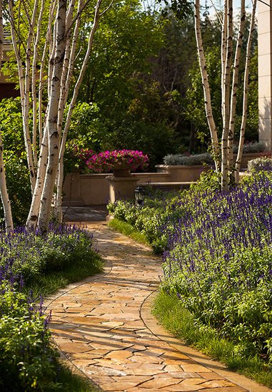 华瀚净月公馆价值解密 完全人车分流演绎别墅