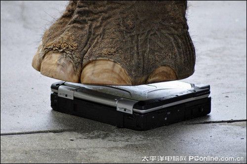 史上最疯笔记本测试 大象踩白虎咬子弹射_笔记