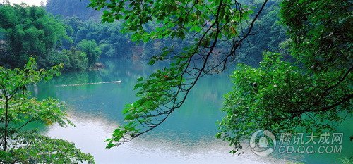 峨眉山成夏令营首选地 全国学子寻世界之最_旅