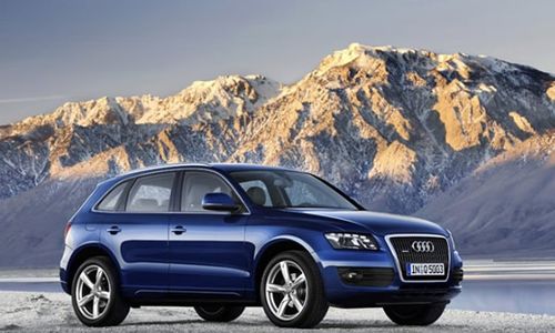 �����ź����µ���Q7/Q5˫˫ȱϯ����ɶ����ʳ�չ
