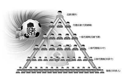 伙成员的金字塔结构图