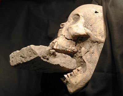 09年10大考古发现:幽灵船和吸血鬼尸体(图)