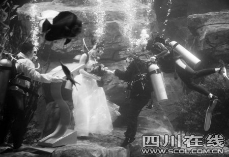成都海洋馆浪漫婚礼 新郎新娘水中相拥相吻_婚