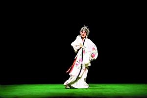 张立宪倾力制作《青衣张火丁》 每套定价660元_新闻滚动_大成网_腾讯网