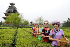 湖北谋划湖广-票通公路与武广高铁无缝对接