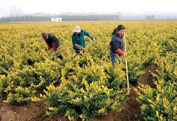 湖北谋划湖广-票通公路与武广高铁无缝对接