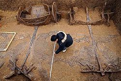 湖北谋划湖广-票通公路与武广高铁无缝对接