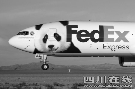 波音777变熊猫快递专机送美兰泰山回成都_热