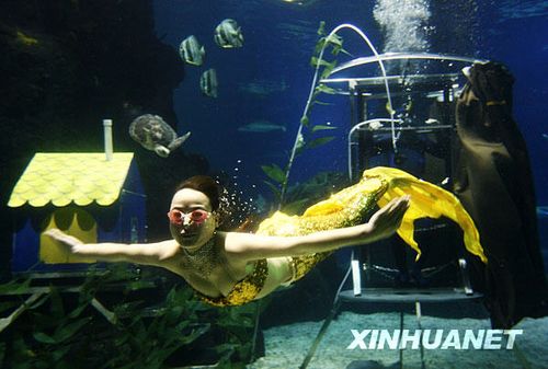 海洋馆里的“水下逃生秀”_新闻滚动_大成网_腾讯网