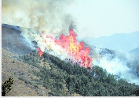 凉山州原始森林两起大火 森警苦战8天终扑灭_