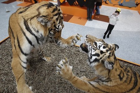 上海科技馆新法制标本