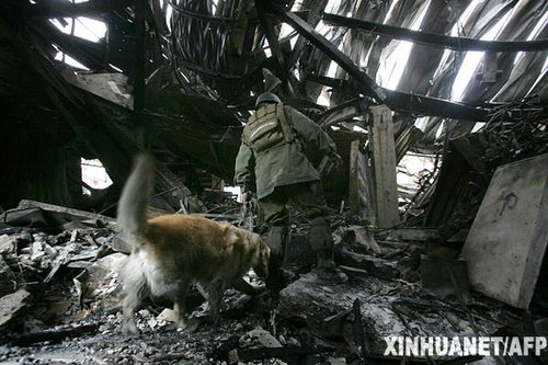 国际红十字会提高救灾级别 称智利需要援助