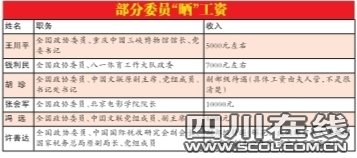 职业摄影师收入_哪些职业收入最低(3)