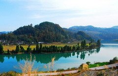 湖北37县市两类单位下月底推行绩效工资改革