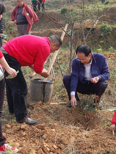 如何提升绿色GDP引言_学历提升图片