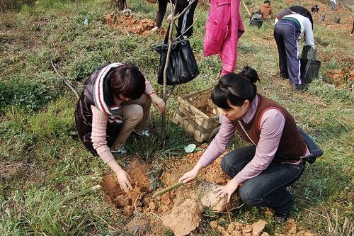 如何提升绿色GDP引言_学历提升图片