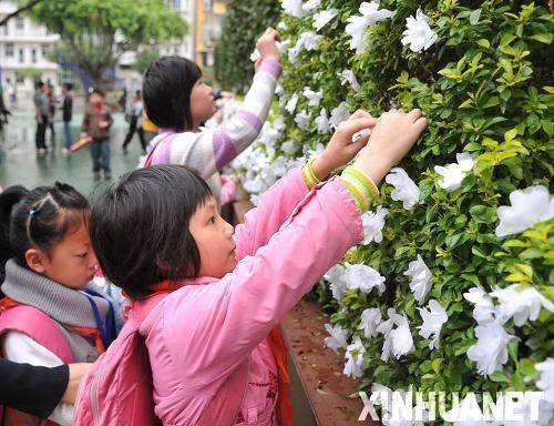 重庆中小学校将配备专职保安或青壮年门卫_滚