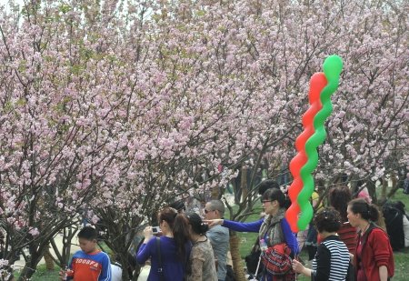 成都各区市县争锋城市营销_新闻滚动