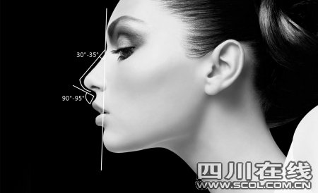 2010韩国鼻中隔软骨隆鼻席卷亚洲演艺圈