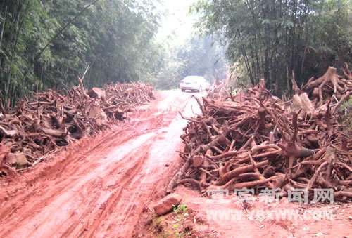 谋取暴利毁掉摇钱树非法炼油被取缔_新闻滚