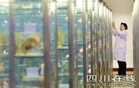 吸烟者的肺啥样?去看看就知道_新闻滚动