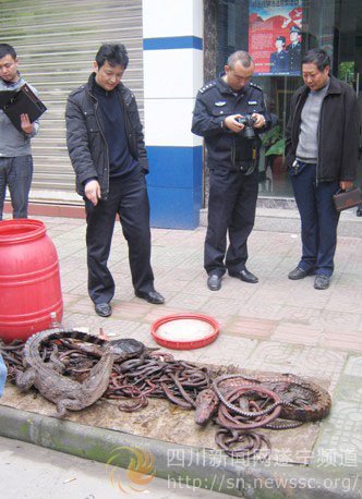 大胆!遂宁小贩居然向工商执法人员兜售野生动
