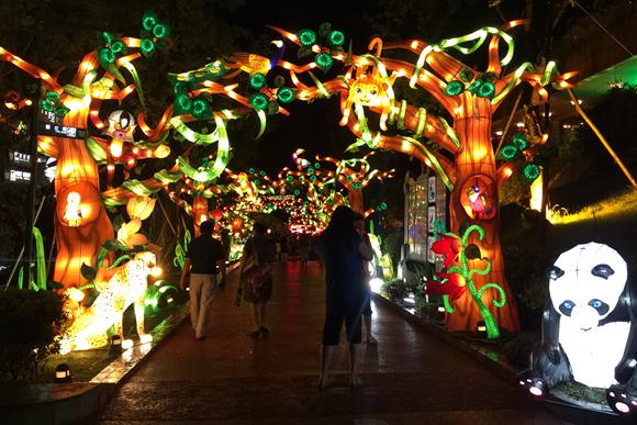 西南首家夜间动物园开园 最低门票只要30元