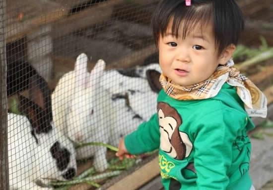 多肉DIY喂小动物 周末带孩子去露天农场免费耍