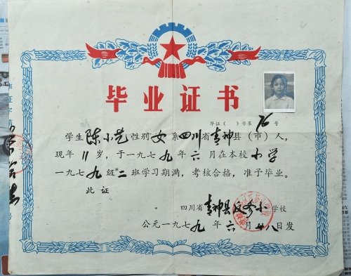 陈小艺 你小学毕业证掉了 有人喊你拿钱买回去